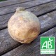 Rurabaga bio