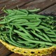 Haricots verts PROMO