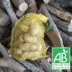 PDT DELIKATESS Filet 3kg