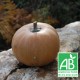 Courge CARAT - Mini muscade 1kg