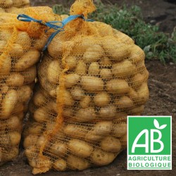 PDT Carolus filet 25 kg