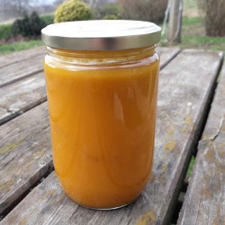 Velouté de courge