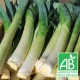 Poireaux PROMO 1.5kg
