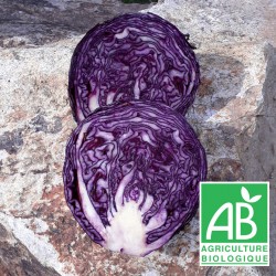 Chou Rouge 500g