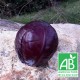 chou rouge