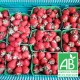Fraises promo 5kgs