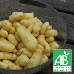 Pdt Nouvelle PROMO 1.5kg Delikatess