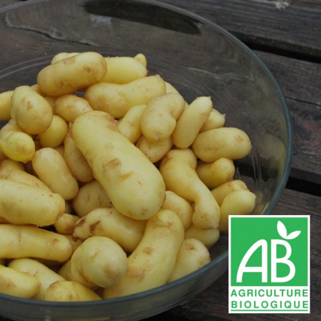 Pdt Nouvelle PROMO 1.5kg Delikatess