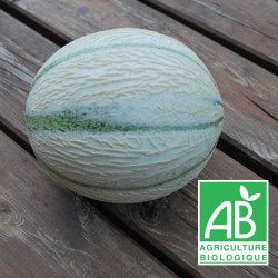 Melon 1kg