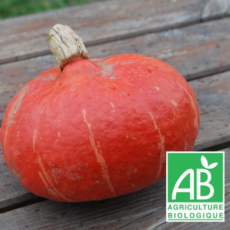 Potimarron bio 800g environ