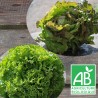 Salade Duo (1 BAT Blonde + 1 BAT Brune)