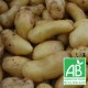 PDT MARABEL 1kg - polyvalente