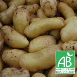 PDT MARABEL 1kg - polyvalente