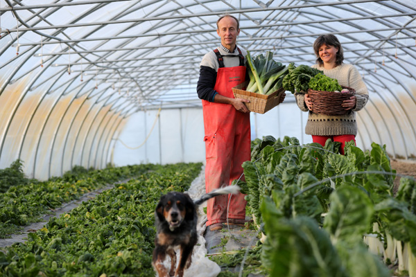 Georges et Teri - A Pic Legumes