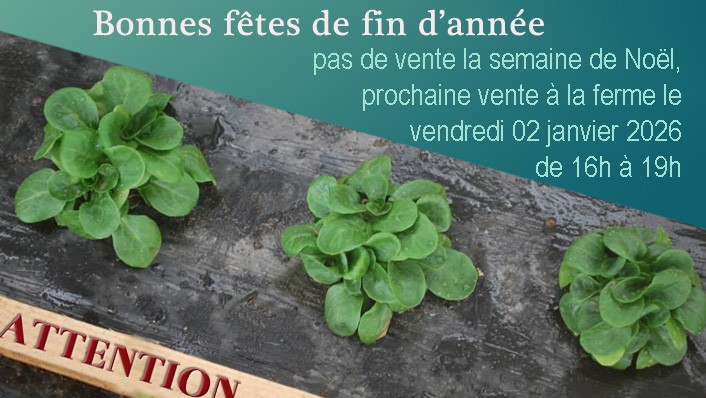 Pas de vente la semaine de No&uml;l 2025