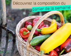 Composition du panier légumes