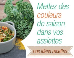 Recettes bio proposé par A Pic Légumes